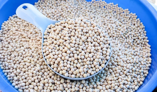 La soja se considera una proteína completa. Foto: Cortesía