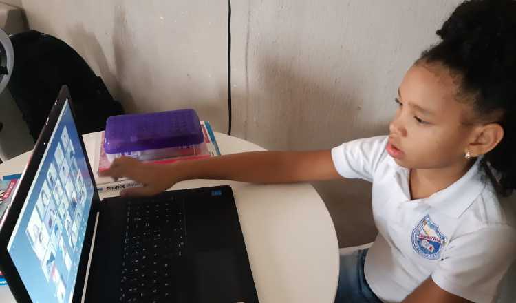 Unas 142 escuelas ya están utilizando la plataforma ESTER. Meduca.