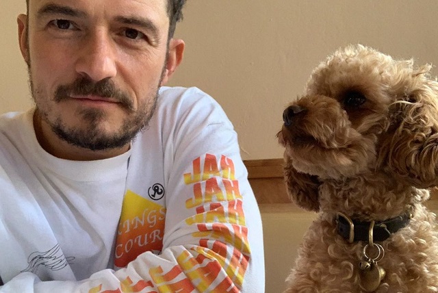 Orlando Bloom y Katy Perry dedicaron cuerpo y alma a la búsqueda de la mascota. Foto: Instagram