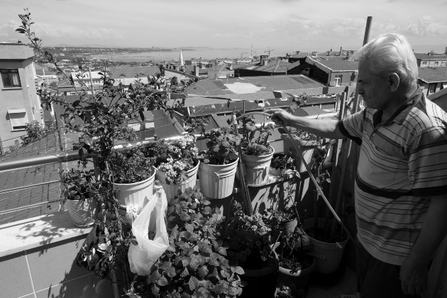 La jardinería tiene beneficios físicos y mentales. Entre ellos, es una actividad que te mantiene en constante movimiento, que requiere de fuerza, precisión, coordinación y equilibrio. Foto: EFE.