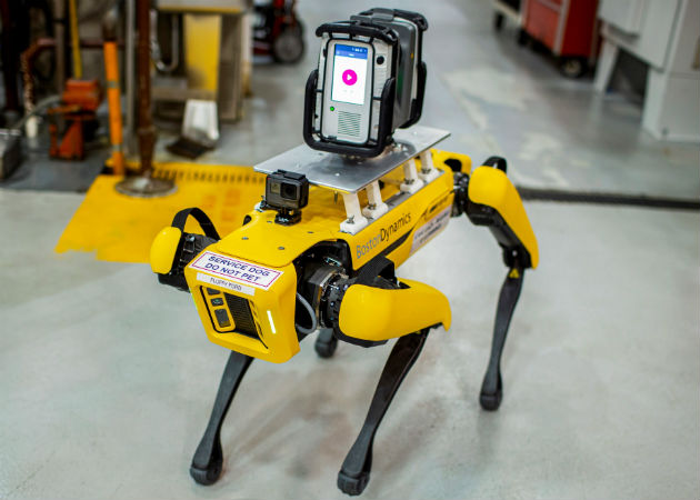  Los dos robots han sido llamados Fluffy y Spot, nombres comunes de perros en EE.UU. Fotos: EFE.