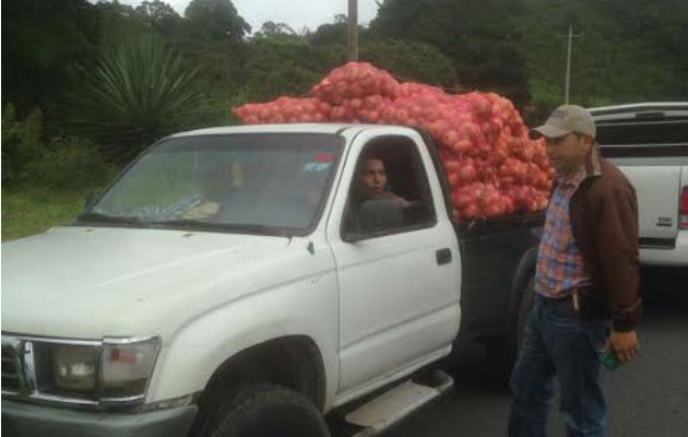 Productores de Tierras Altas advierten que hay escasez de cebolla No se descarta que haya especulación en el precio de venta al consumidor. Fotos: José Vásquez.