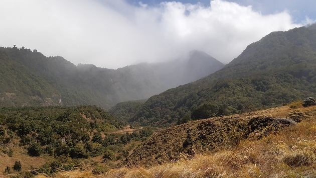 En 2019 se registraron 1,117 incendios de masa vegetal a nivel nacional, 57 dentro de áreas protegidas y 1,060 fuera de ellas.