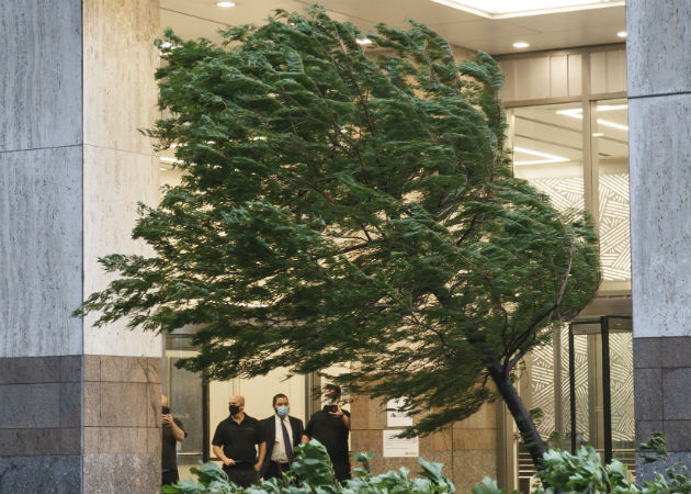La víctima mortal estaba en el interior de su vehículo en el distrito de Queens cuando un árbol cayó sobre él. Fotos: EFE.