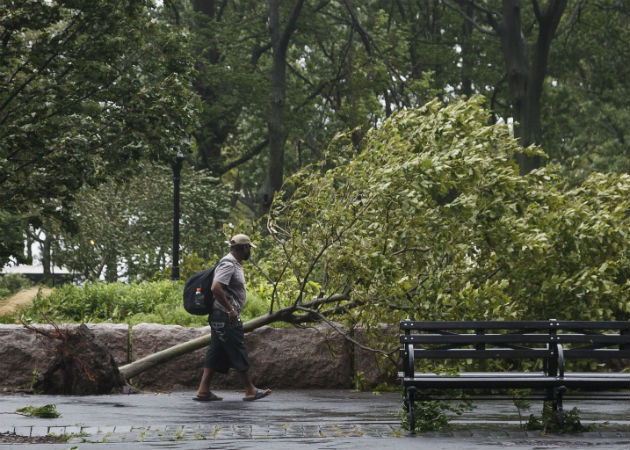 La víctima mortal  estaba en el interior de su vehículo en el distrito de Queens cuando un árbol cayó sobre él. Fotos: EFE.