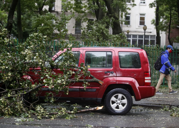 La víctima mortal  estaba en el interior de su vehículo en el distrito de Queens cuando un árbol cayó sobre él. Fotos: EFE.