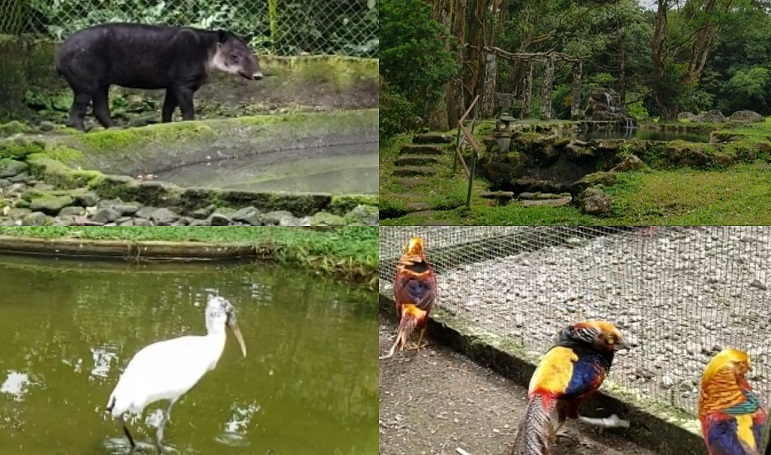 Hay 90 especies de animales. Foto: Instagram