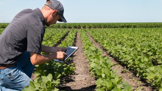 En un plazo de dos años, se espera que unos 200 mil pequeños agricultores del noreste de Brasil. Foto/EFE