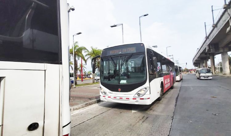 Todavía no se ha realizado una licitación. MiBus.