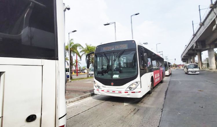 Todavía no se ha realizado una licitación.  MiBus.