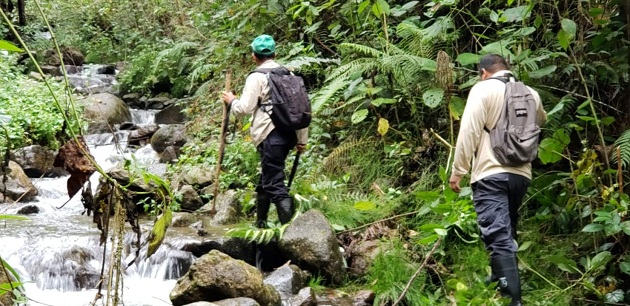 El año pasado se realizaron 893 patrullajes; siendo 92 patrullajes acuáticos y 801 acuáticos.