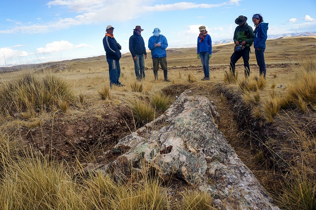 Árbol fósil encontrado al sur de Perú. Foto: Rodolfo Salas Gismondi