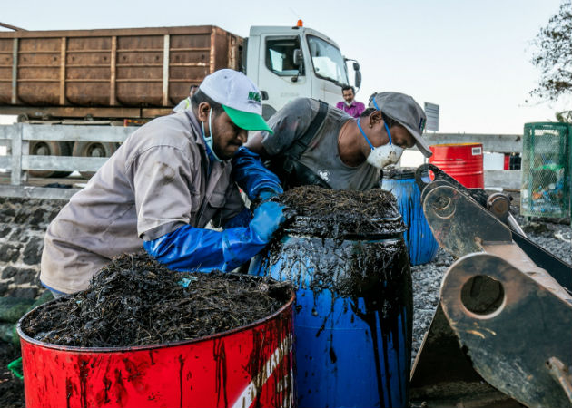 Se parte en dos el carguero japonés con bandera panameña que vertió petróleo en aguas de Mauricio En la bodega del granelero quedaban 166 toneladas métricas de crudo por bombear. Fotos: EFE.