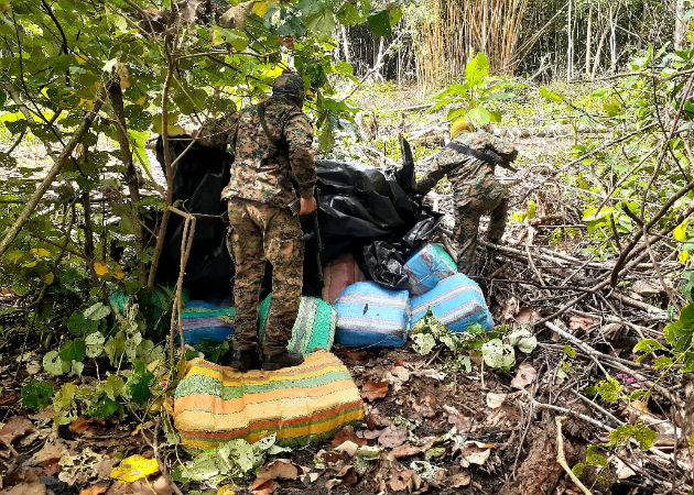 La captura se produjo mediante acciones de patrullajes de playas. Fotos: Cortesía.