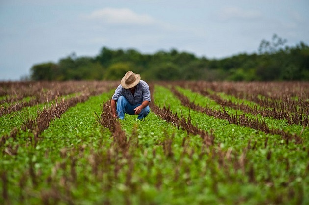 El objetivo es que se reconozca la competitividad del sector exportador agrícola mexicano. EFE