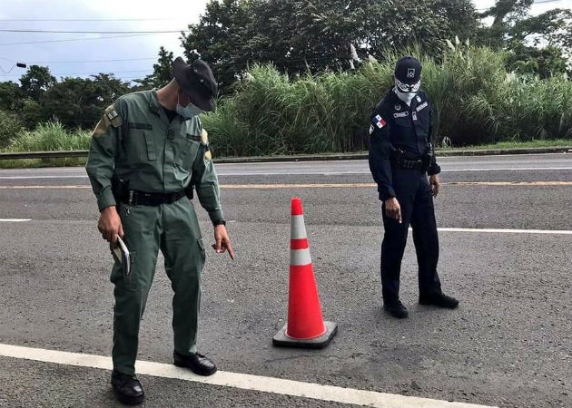 Los perros no fueron macheteados como se aseveró en redes sociales. Fotos: Diómedes Sánchez.