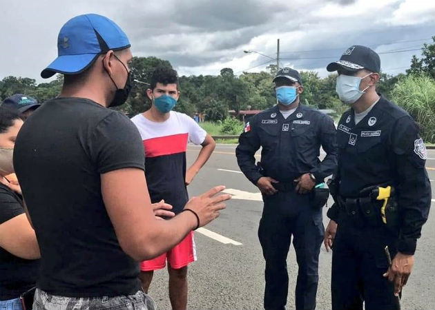 Los perros no fueron macheteados como se aseveró en redes sociales. Fotos: Diómedes Sánchez.