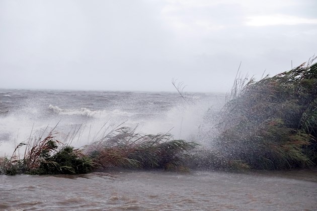 El NHC espera que toque tierra el miércoles en algún punto de un tramo del litoral comprendido entre la desembocadura del río Pearl, frontera entre Luisiana y Mississippi, hasta Navarre, en Florida.