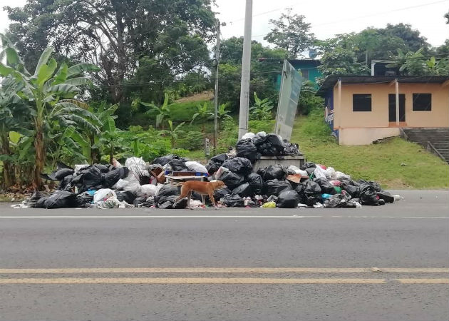 Los usuarios prefieren pagar el agua dejando morosa la recolección de la basura. Fotos: Diómedes Sánchez. 