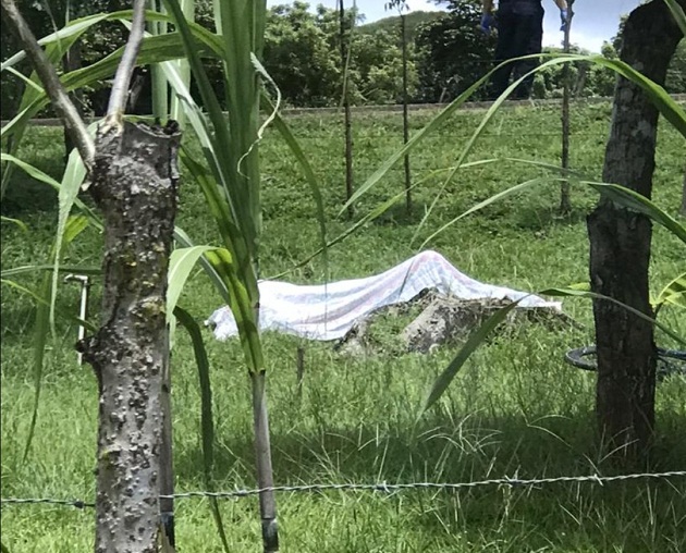 Uno de los ciclistas del impacto quedó en medio de un potrero. FOTO: Thays Domínguez