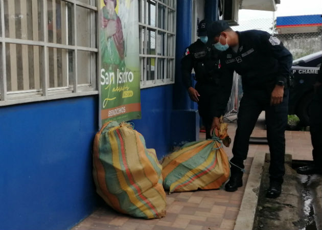 La presunta marihuana incautada en San Carlos, estaba en tres sacos. Fotos: Eric A. Montenegro.