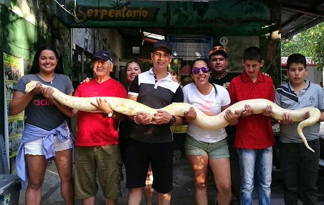 El serpentario recibirá a los visitantes por grupos.