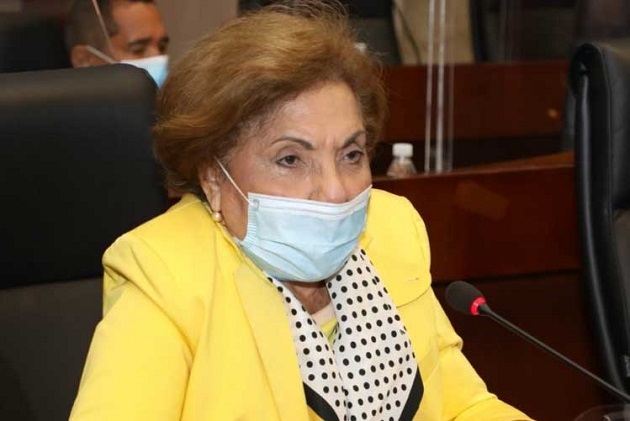 La diputada Mayín Correa fue la que presentó este proyecto de ley. 