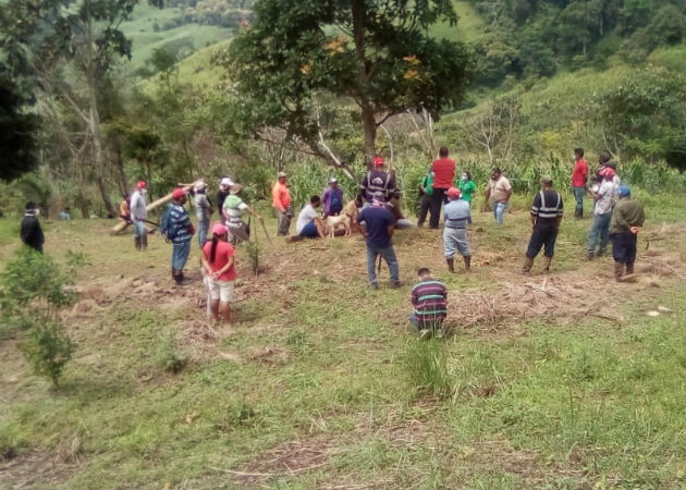 Trabajos agrícolas efectuaban en área reforestada de Cerro Galera en Arraiján Según funcionarios de MiAmbiente, parte del terreno había sido quemado. Fotos: Eric A. Monenegro.