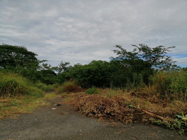 Se prohíbe la quema de basura y herbazales, abandonar automóviles, recipientes en desuso, colchones, y hasta animales muertos en las aceras, calles y lotes baldíos dentro del distrito. FOTO/THAYS DOMÍNGUEZ