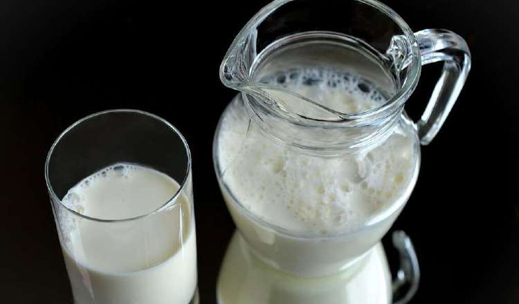 La leche y su valor nutricional. Pixabay