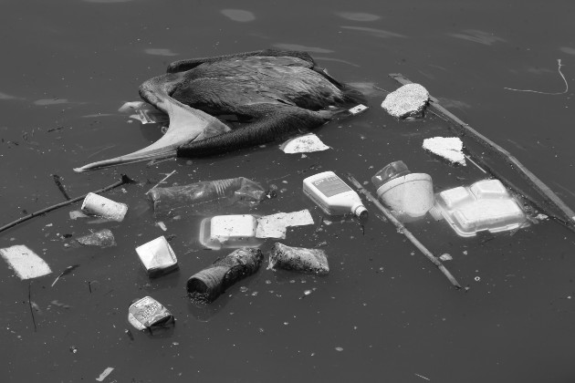 Botamos la basura indescriminadamente. Tiramos basura en ríos y quebradas que van a dar al mar. Foto: Archivo. Epasa.