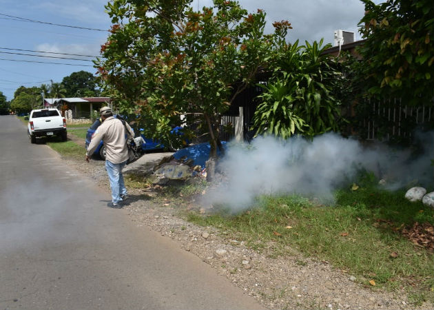 El nivel de infestación del mosquito en Chiriquí está por encima del 3%. Foto: José Vásquez.