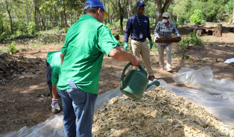 MiAmbiente capacita a personas en el  manejo del abono orgánico.