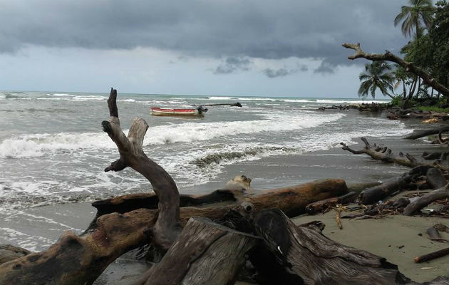 Playas se podrán utilizar a partir del sábado 24 de octubre.