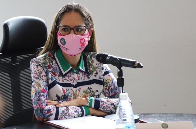 La diputada Zulay Rodríguez preside la Comisión de la Mujer, la Niñez, la Juventud y la Familia. Foto cortesía Asamblea Nacional