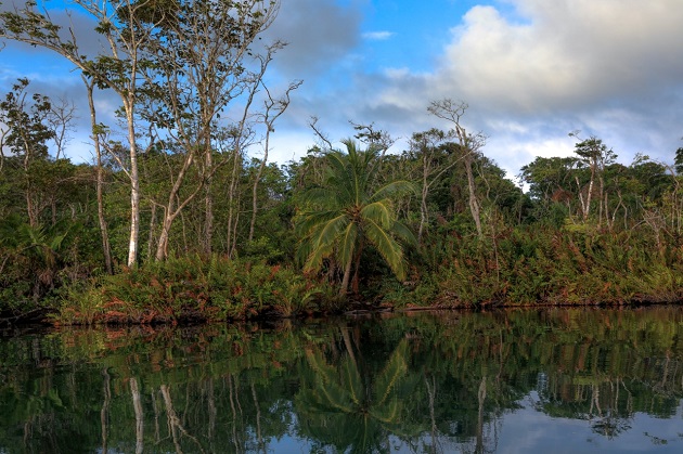 El horario de visita en el Parque Nacional Chagres es de 8:00 a.m. a 4:00 p.m., de lunes a domingo.