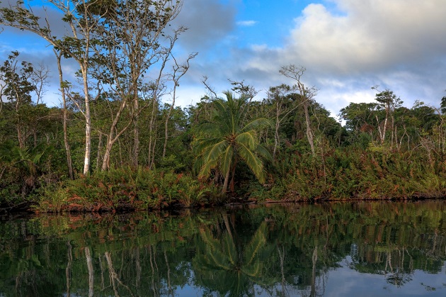 El horario de visita en el Parque Nacional Chagres es de 8:00 a.m. a 4:00 p.m., de lunes a domingo. 