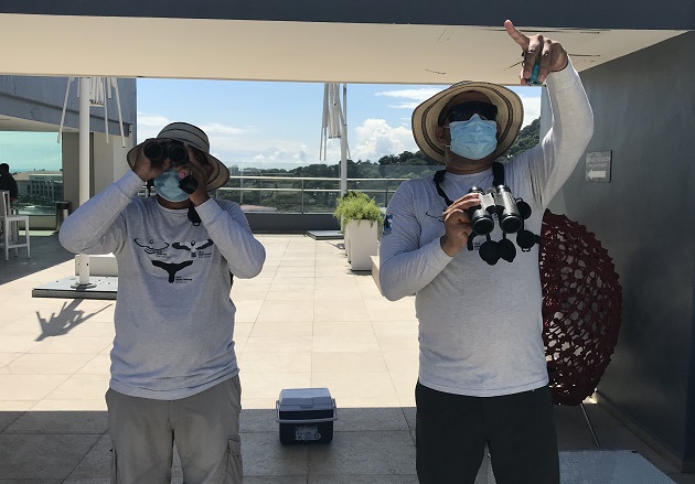 Domiciano Alveo (izq.) y Ovidio Jaramillo cuentan las aves rapaces desde la azotea del Wyndham Panama Albrook Mall Hotel. Foto: Elisinio González G.