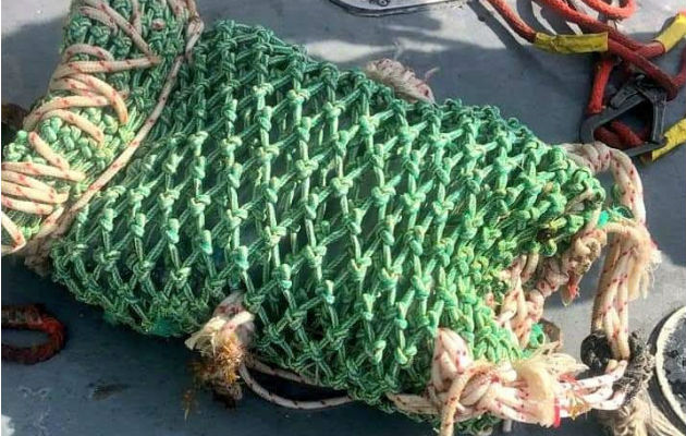 La cocaína fue sujeta con una especie de ganchos de metal que guardaba un bulto de color verde. Foto: Diómedes Sánchez S.