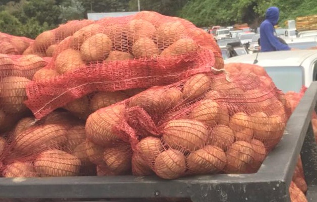 Los productores esperan que para este martes hayan abastecido en un 100% el mercado nacional, garantizando el producto para los consumidores.