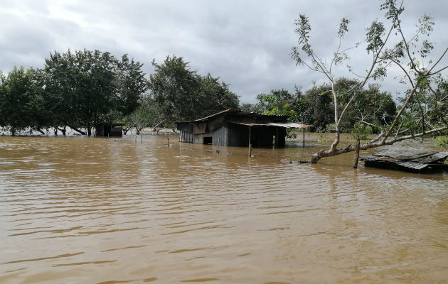 Entre las viviendas afectadas por la inundación hay dos casas de madera y zinc. Foto: Thays Domínguez