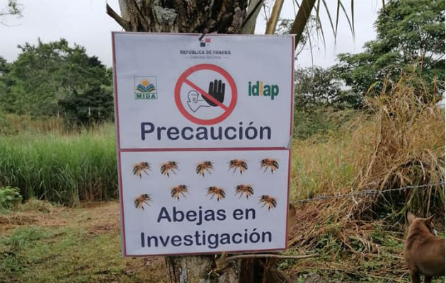 En el apiario se va a generar aprendizaje para mejorar la actividad en la región. Foto: Diómedes Sánchez S.