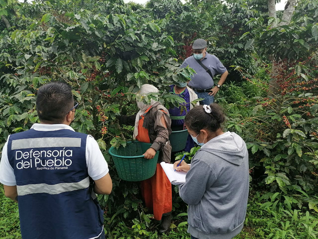 Las visitas buscan  sensibilizar en las fincas sobre los riesgos del trabajo infantil. Foto: Mayra Madrid.