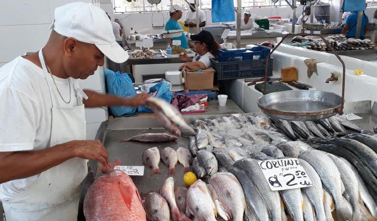 Se cuentan, hasta el momento, con 140 especies de peces marinos de importancia comercial en el país. Foto de archivo