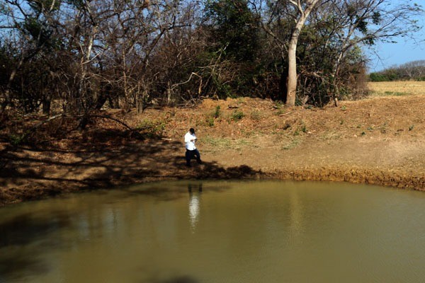 Un total de 23 abrevadores en El Valle, Río Hato, Antón, Penonomé, Toabré, La Pintada, El Copé, Olá, Natá, Aguadulce y El Roble. 