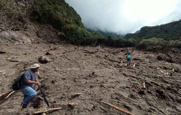 Técnicos y guardaparques del Parque Nacional Volcán Barú han evaluado los daños. Foto: José Vásquez.