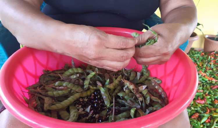 La venta de guandú beneficia no solo a los productores, sino también a desgranadores e intermediarios.