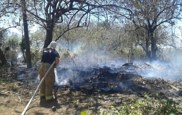 El tema de los incendios forestales durante la temporada seca se registra con mucha frecuencia, pero no sólo de masa vegetal en áreas protegidas; sino también en área urbanas donde se inicia con quemas de basura que pueden extenderse y acabar con grandes bosques.