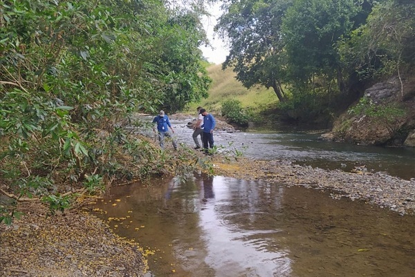 Los inspectores no evidenciaron daños ambientales por este hecho, sin embargo, se procedió al levantamiento de un informe.