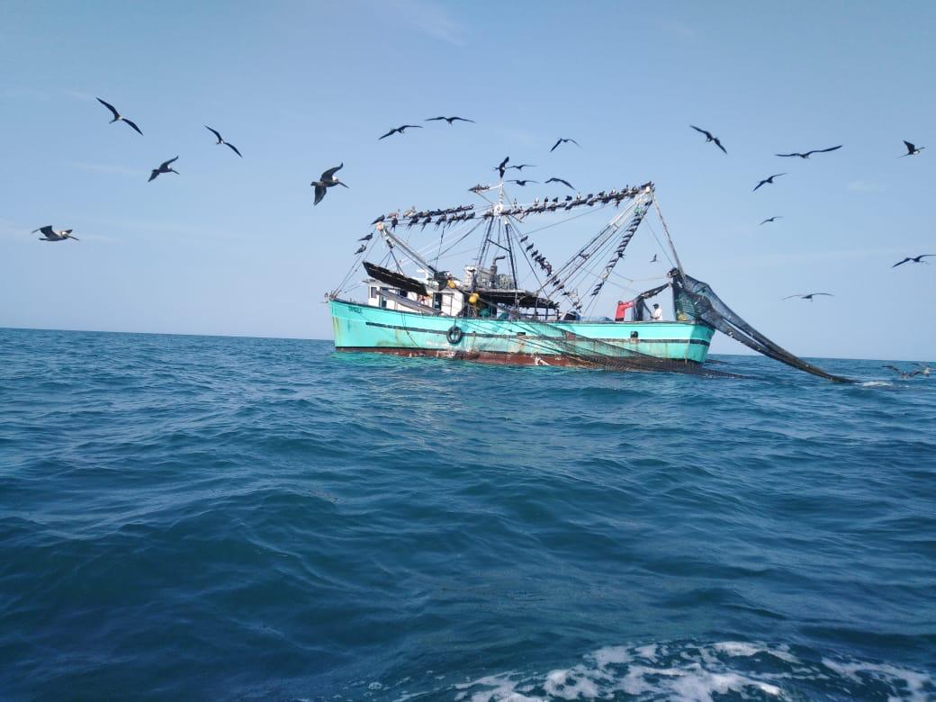 Capitanes de barcos llenarán bitácoras de pesca a partir de este año 2021. Foto: Cortesía.